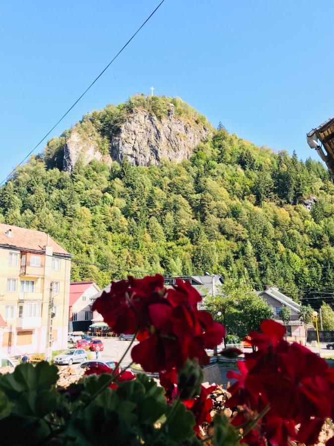 Pensiunea Montana Borsa Mm Băile Borşa 외부 사진