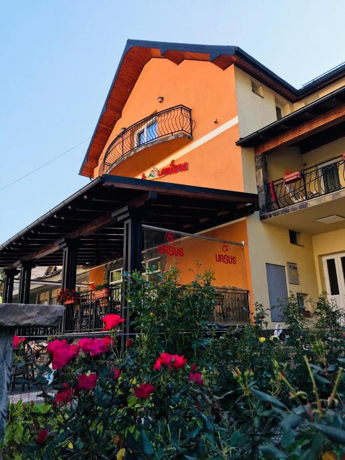 Pensiunea Montana Borsa Mm Băile Borşa 외부 사진